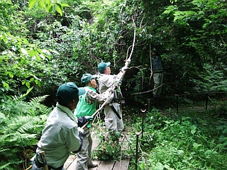 金沢自然公園しだの谷にて(2013-７-４)